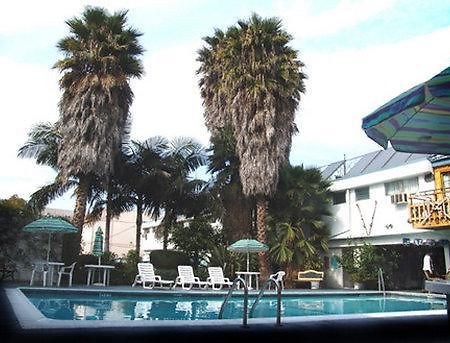 Tradewinds Airport Hotel Inglewood Dış mekan fotoğraf