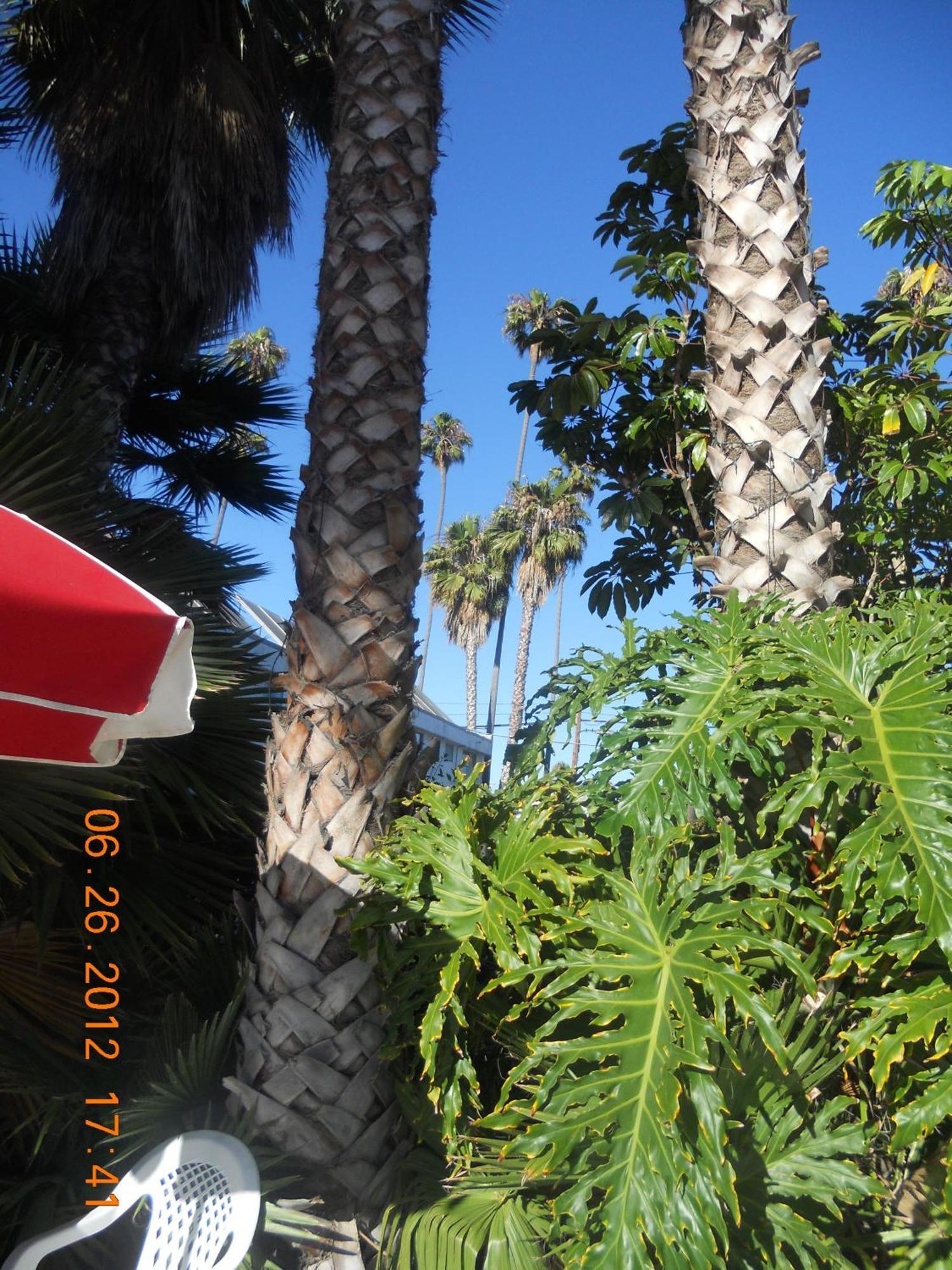 Tradewinds Airport Hotel Inglewood Dış mekan fotoğraf