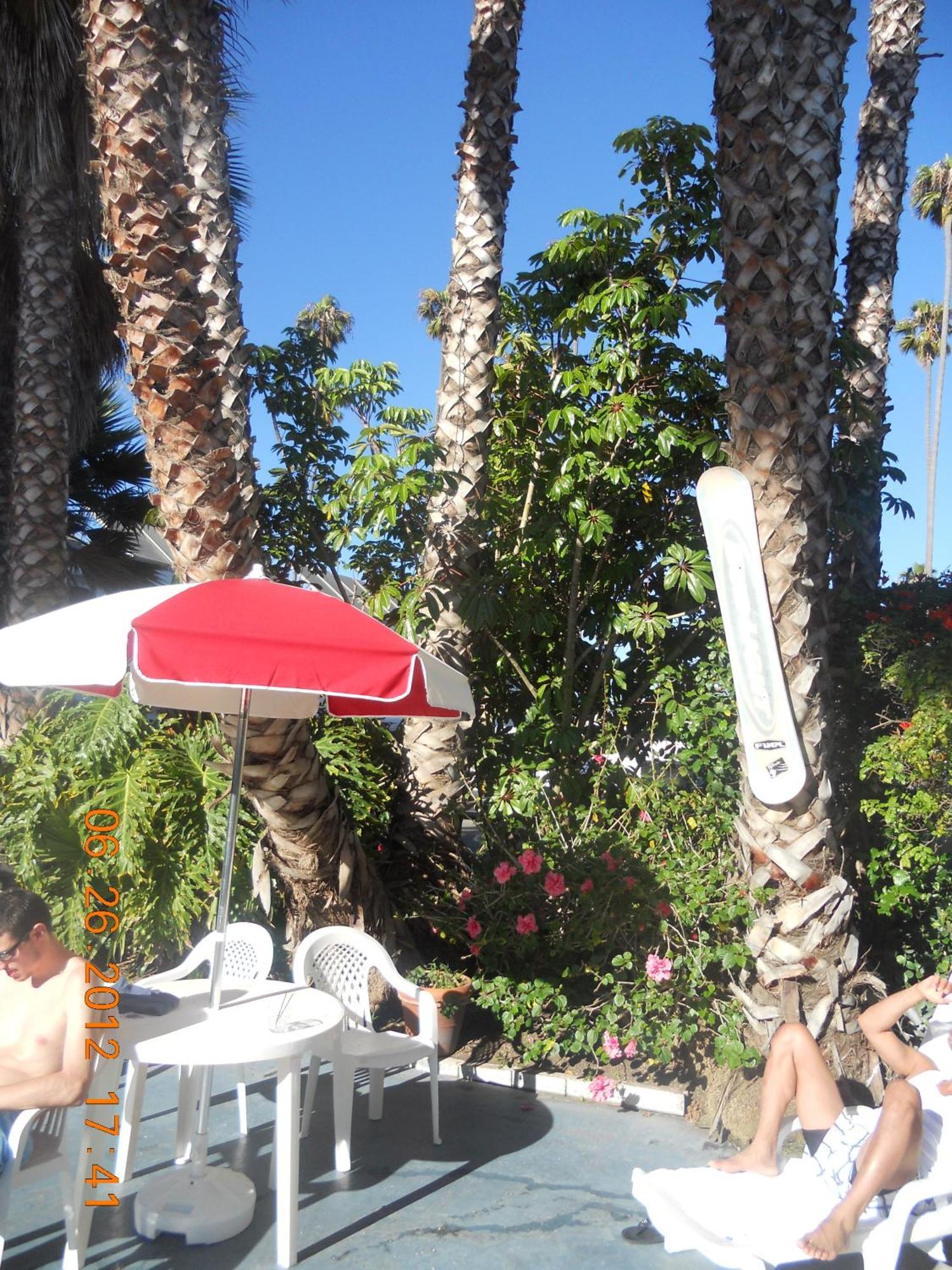 Tradewinds Airport Hotel Inglewood Dış mekan fotoğraf